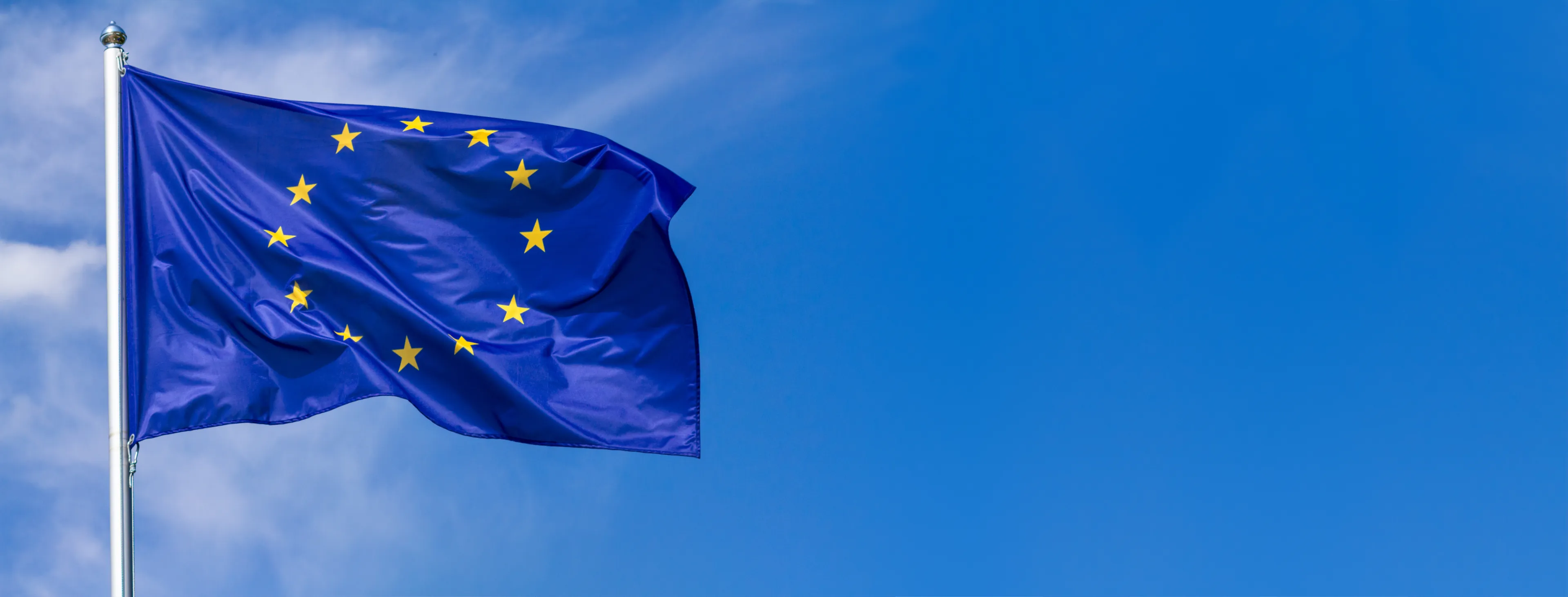 European flag