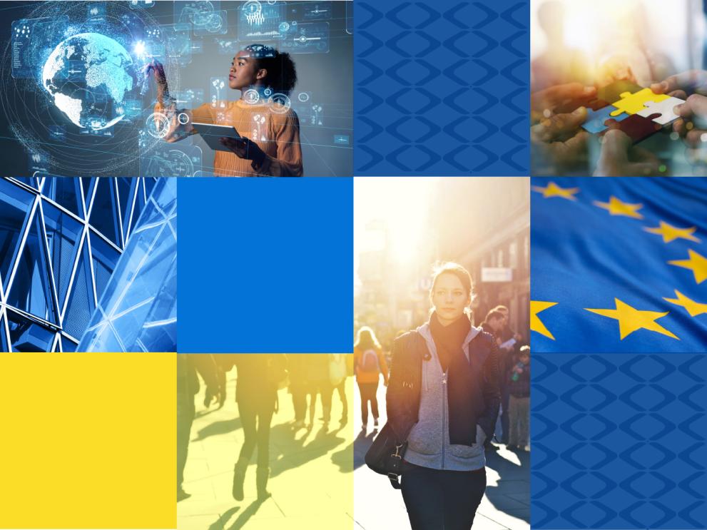 EU Agencies Network