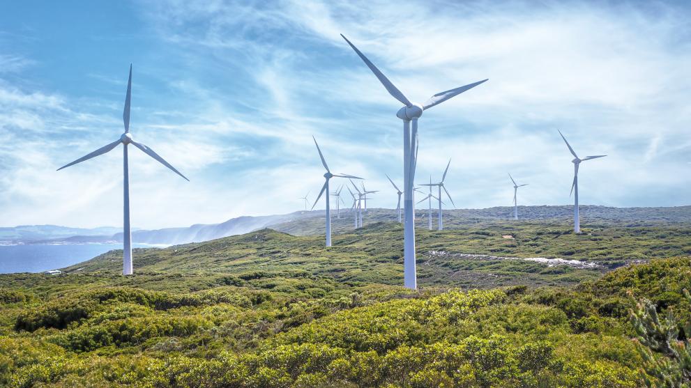Windmills on the shore