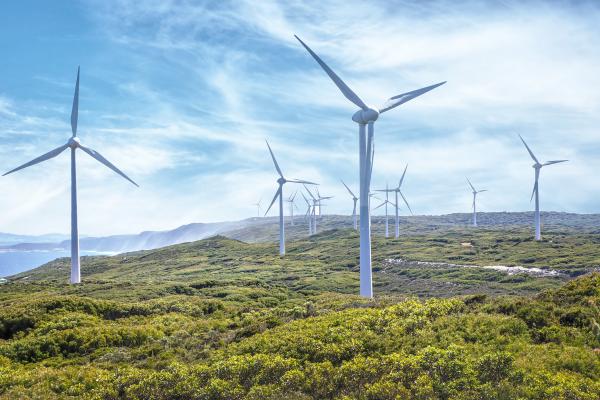 Windmills on the shore